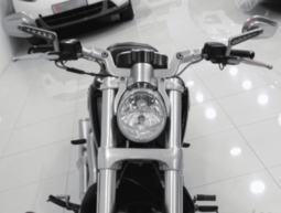 
										2013 Harley-Davidson V-Rod Muscle (VRSCF) full									
