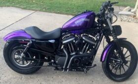 2014 Harley-Davidson Iron 883 (XL883N)